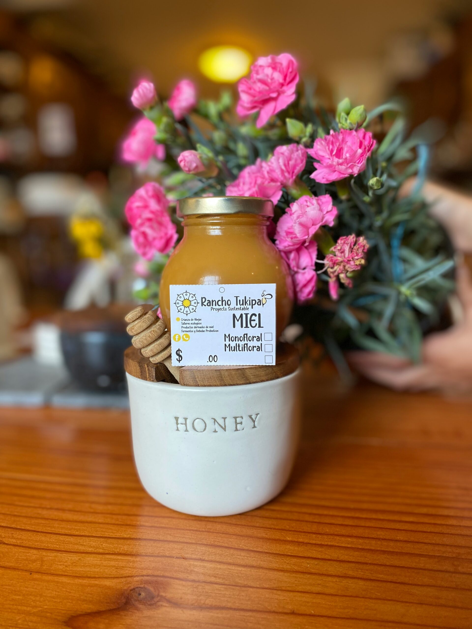 tissa-o-grady-GTyEBoLiTz8-unsplash divi-cart-pro-about-1